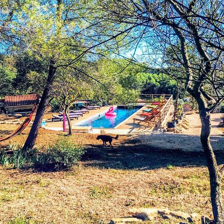 Arche De Noe Atypique, Boheme , Nature, Piscine Chauffee De Paques A Toussaint , Spa , Sauna , Loisirs เลอโบสเซต์ ภายนอก รูปภาพ