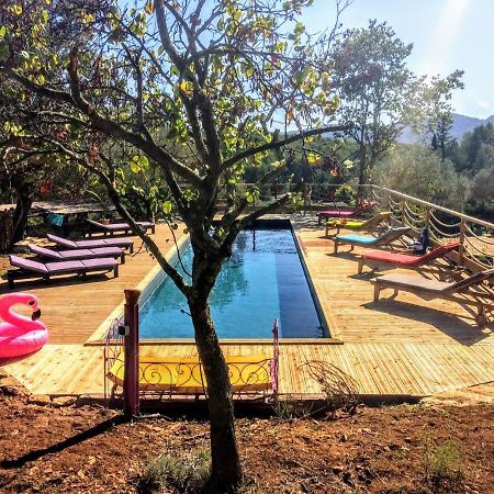 Arche De Noe Atypique, Boheme , Nature, Piscine Chauffee De Paques A Toussaint , Spa , Sauna , Loisirs เลอโบสเซต์ ภายนอก รูปภาพ