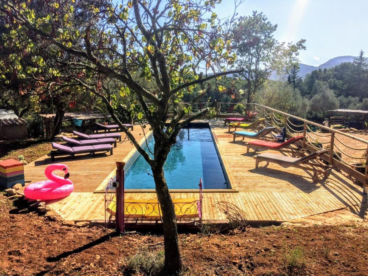 Arche De Noe Atypique, Boheme , Nature, Piscine Chauffee De Paques A Toussaint , Spa , Sauna , Loisirs เลอโบสเซต์ ภายนอก รูปภาพ